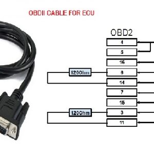 Cavo OBDII Per Ecu.
Ub. Z7