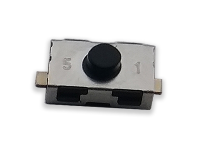 Mincrointerruttore 2 Pin