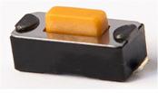 Mincrointerruttore 2 Pin