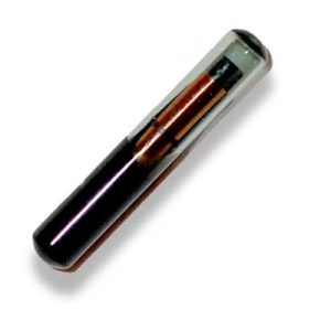 Transponder Vergine Vetro Chiave Auto TPX2